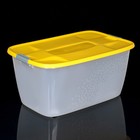 Бокс универсальный, 56 л, 60×40×36 см, на колесиках, МИКС - Фото 9