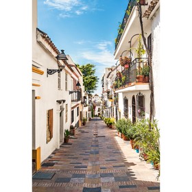 

Фотообои Улица в Андалусии 1,8*2,7 (из 2 листов)