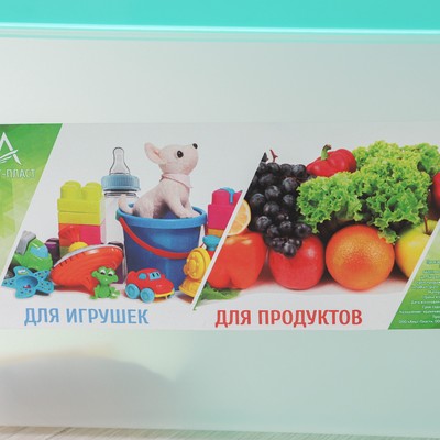 Контейнер для хранения с крышкой, 10 л, 35.9×24.2×21.1 см, прямоугольный, прозрачный, зелёный