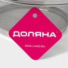 Сито для просеивания Доляна «Универсал», d=25 см, нержавеющая сталь, серебристое - Фото 5