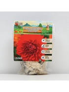 Георгина Декоративная «Гарден Уандер», клубнелуковица в упаковке, р-р I, 1 шт. - Фото 5