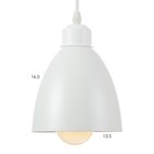 Светильник BayerLux Подвес «Овал» 1×40 Вт E27 белый 14×14×18-98 см - Фото 6