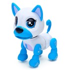 Интерактивный щенок «Маленький друг: Джек», поёт песенки, отвечает на вопросы, цвет голубой - фото 3833495