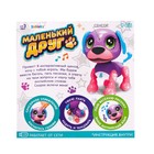 Интерактивный щенок «Маленький друг: Джек», поёт песенки, отвечает на вопросы, цвет голубой - Фото 6