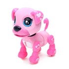 Интерактивный щенок «Маленький друг: Рокси», поёт песенки, цвет розовый - фото 3833507