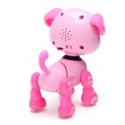 Интерактивный щенок «Маленький друг: Рокси», поёт песенки, цвет розовый - Фото 4