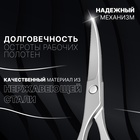 Ножницы маникюрные «Premium», загнутые, 9 см, на блистере, цвет серебристый - фото 8458483