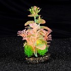 Островок аквариумных растений, светящихся в темноте, 20 х 8 х 19 см - Фото 1