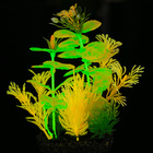 Островок аквариумных растений, светящихся в темноте, 20 х 8 х 19 см - Фото 4