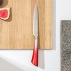 Нож кухонный Доляна «Спектр», лезвие 12 см, цельнометаллический, цвет МИКС - фото 8810250