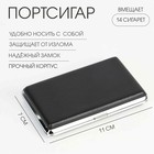 Портсигар «Зарнен», на 14 сигарет 100 мм, 11×7×2 см - Фото 1