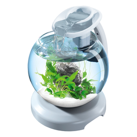 Аквариум Tetra Cascade Globe Duo Waterfall, 6,8 л, круглый с LED ...