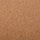 Доска пробковая 100×150 см, Calligrata, в деревянной раме - Фото 4