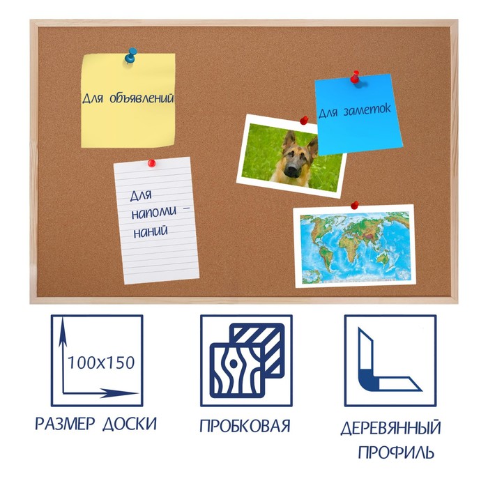 Доска пробковая 100×150 см, Calligrata, в деревянной раме - Фото 1