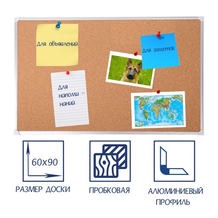 Доска пробковая 60×90 см, Calligrata СТАНДАРТ, в алюминиевой рамке - Фото 1