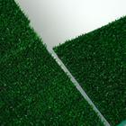 Террариум для черепах 45 л, с крышкой, полкой и лесенкой, 55×33×25 см - Фото 6