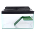 Террариум для черепах 25 л, с крышкой, полкой и лесенкой, 40×29×22 см - Фото 4