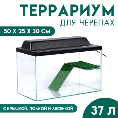 Террариум для черепах 37 л, с крышкой, полкой и лесенкой, 50×25×30 см