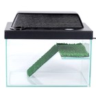 Террариум для черепах 12 л, с крышкой, полкой и лесенкой, 30×20×20 см - Фото 2