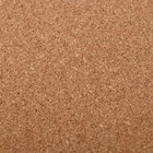 Доска пробковая 100×150 см, Calligrata СТАНДАРТ, в алюминиевой рамке - Фото 4