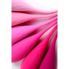 Набор вагинальных шариков Eromantica K-ROSE, силикон, цвет розовый, 6 шт. - Фото 9