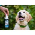 Биоспрей от паразитов для кошек и соба «Пижон Premium», 150 мл - Фото 6