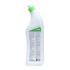 Чистящее средство для чистки и дезинфекции сантехники «Бархат», гель с щавелевой кислотой, 750 г - Фото 2