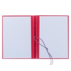 Папка «Магистерская диссертация» бумвинил, гребешки/сутаж, без бумаги, красная, (вместимость до 300 листов) - Фото 3