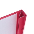 Папка «Магистерская диссертация» бумвинил, гребешки/сутаж, без бумаги, красная, (вместимость до 300 листов) - Фото 4