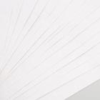 Картон белый, А4, 16 листов, немелованный, односторонний, в папке, 220, г/м², Смешарики - Фото 2