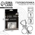 Головоломка металлическая «Игры разума. Раздели на части» №4 - Фото 1