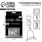 Головоломка металлическая «Игры разума. Раздели на части» №12 - Фото 1