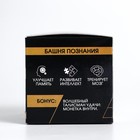 Головоломка деревянная Игры разума «Башня познания» - Фото 7