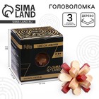 Головоломка деревянная Игры разума «Цветок Афины» - Фото 1