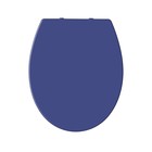 Сиденье для унитаза Miami, цвет синий - фото 298172007