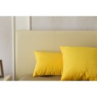 Кровать «Атриум» без ПМ, 140×200 см, экокожа, цвет ванильное суфле - Фото 5