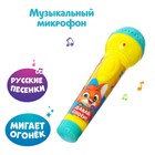 Микрофон музыкальный «Мишка», световые и звуковые эффекты, работает от батареек, в пакете 4167279 - фото 8812090