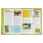 Энциклопедия для детей «Лесные животные» - Фото 9