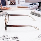 Готовые очки Восток 868 Серые (Дедушки), цвет МИКС +2,5 - Фото 7