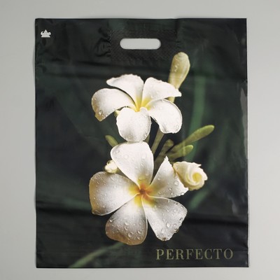 Пакет «Перфекто плюмерия», полиэтиленовый с вырубной ручкой, 90 мкм 42×48 см