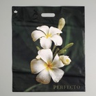 Пакет «Перфекто плюмерия», полиэтиленовый с вырубной ручкой, 90 мкм 42?48 см (комплект 25 шт) - фото 67923895