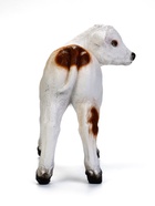 Садовая фигура из полистоуна «Телёнок», 27 см - Фото 3