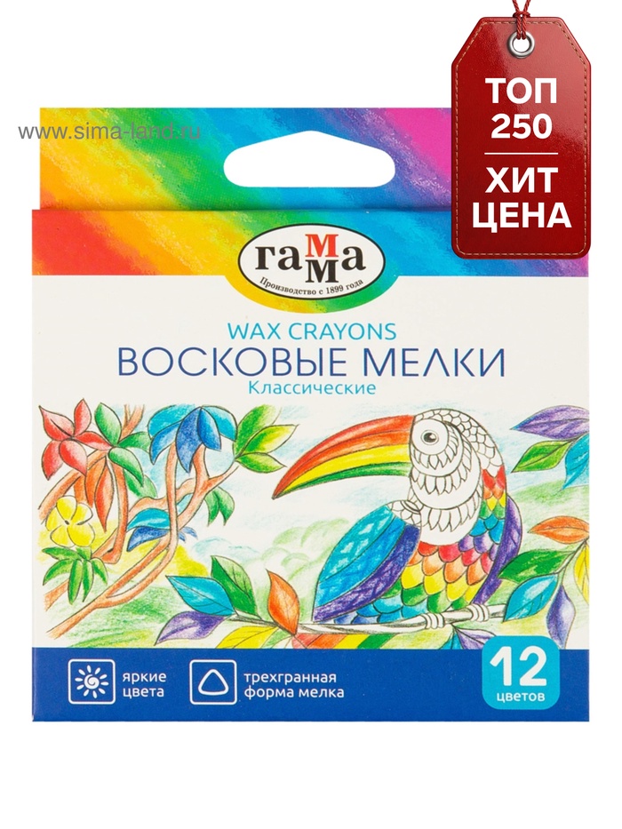 Мелки восковые 12 цветов, «Гамма», трёхгранные - Фото 1