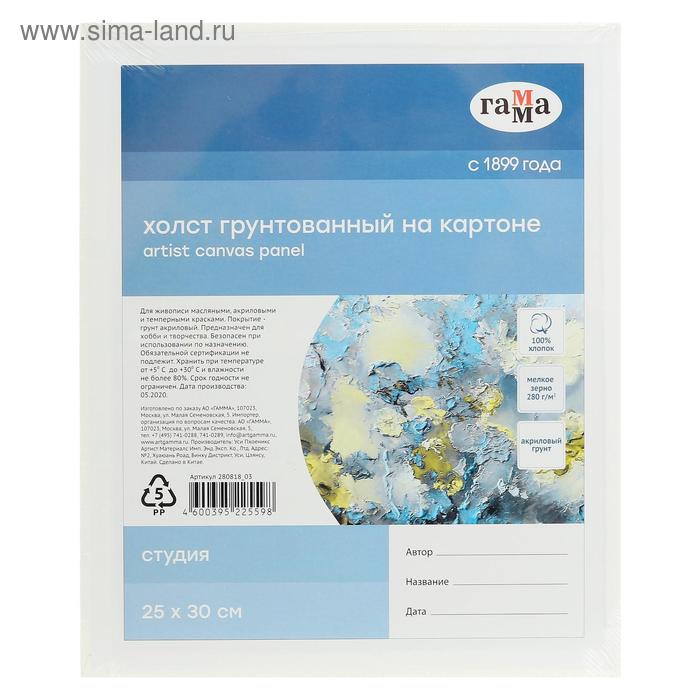 Холст на картоне «Гамма. Студия», хлопок 100%, 25×30 см, акриловый грунт, мелкозернистый - Фото 1