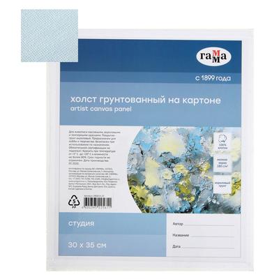 Холст на картоне 30 х 35 см, хлопок 100%, акриловый грунт, мелкозернистый, "Студия"