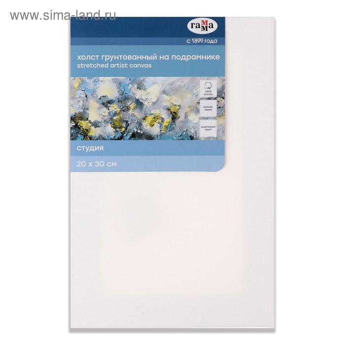 Холст на подрамнике, хлопок 100%, 20×30×1.8 см, акриловый грунт, мелкозернистый, 280 г/м², «Студия» - Фото 1