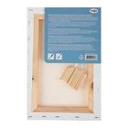 Холст на подрамнике, хлопок 100%, 20×30×1.8 см, акриловый грунт, мелкозернистый, 280 г/м², «Студия» - Фото 4