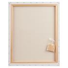 Холст на подрамнике «Гамма. Студия», хлопок 100%, 40×50×1.8 см, акриловый грунт, мелкозернистый, 280 г/м² - Фото 3