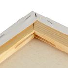 Холст на подрамнике «Гамма. Студия», хлопок 100%, 40×50×1.8 см, акриловый грунт, мелкозернистый, 280 г/м² - Фото 4