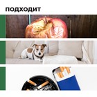 Нейтрализатор запаха Flox Sea I «Морской бриз», 0.5 л - Фото 4